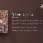 Silver Joy Lyrics